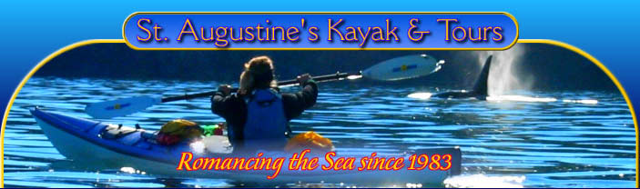 St. Augustine's Kayak Tours